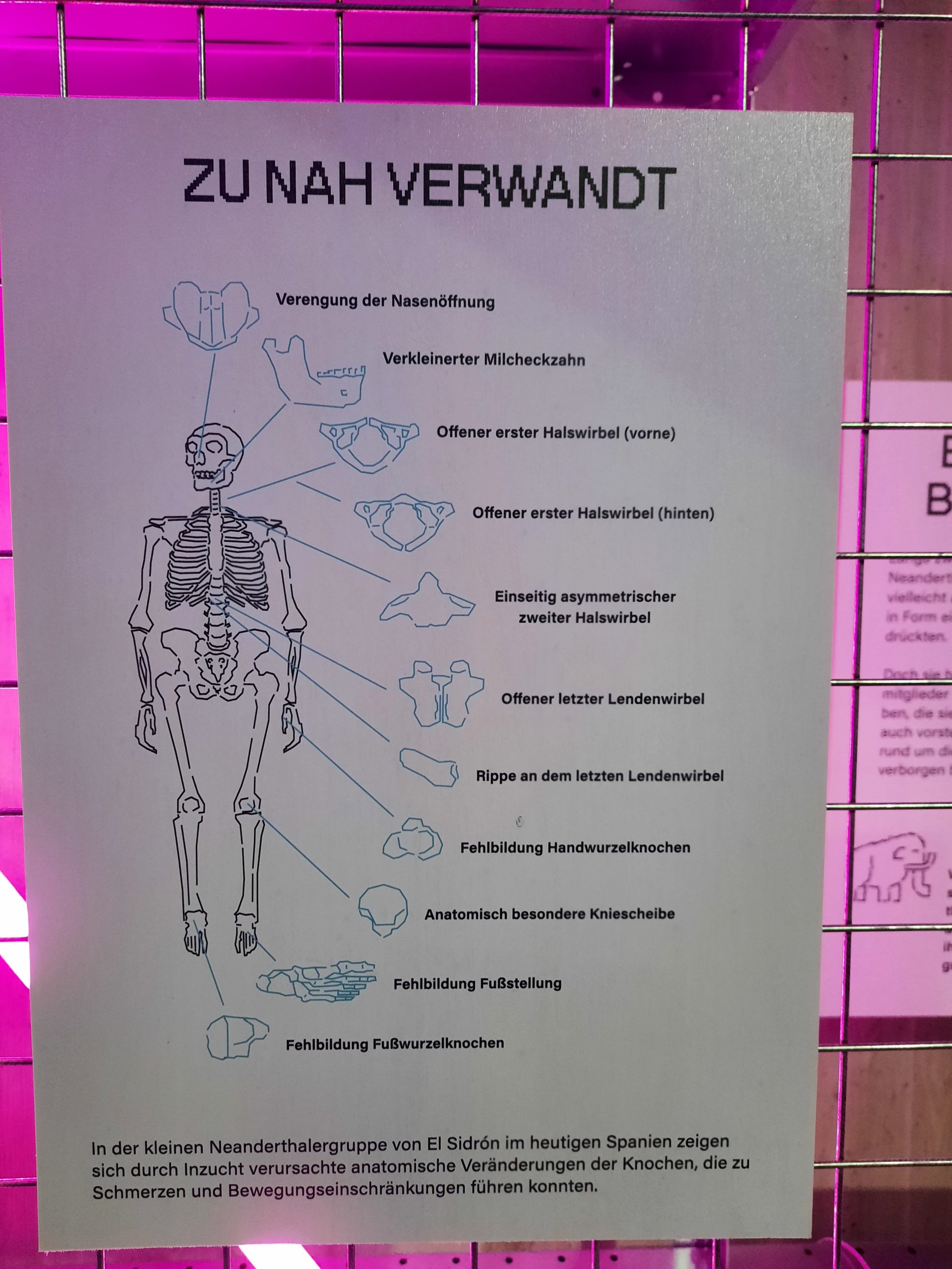 Zu nah verwandt Ausstellungstext